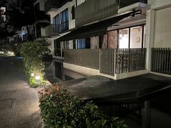 The Inflora (D17), Condominium #530874601